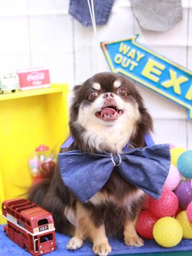 20230420フェルくん